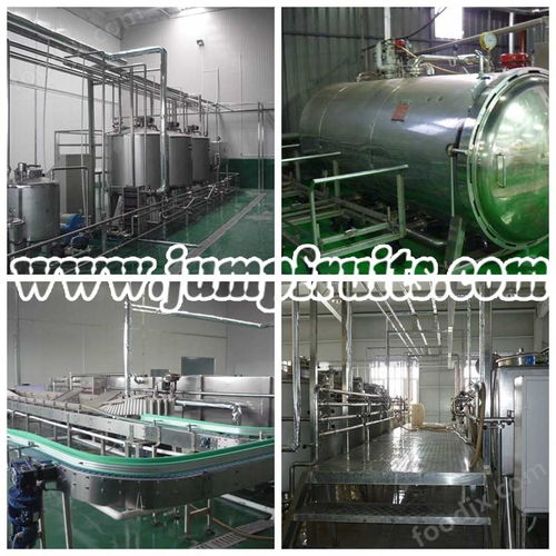 直销特色优质果酒设备与生产线价格解析及水处理设备研发